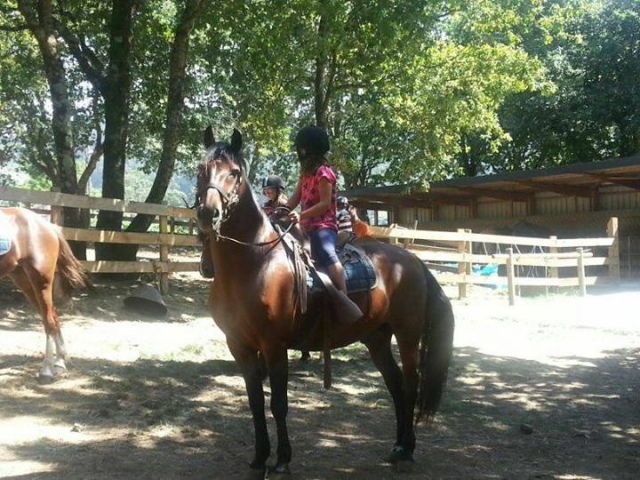  Children learning to ride horses 